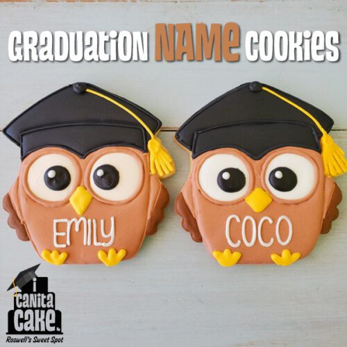 Graduation Owl NAME Cookies by I Canita Cake